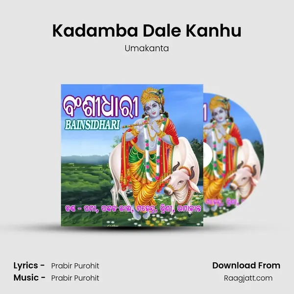 Kadamba Dale Kanhu mp3 song