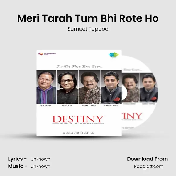 Meri Tarah Tum Bhi Rote Ho - Sumeet Tappoo album cover 