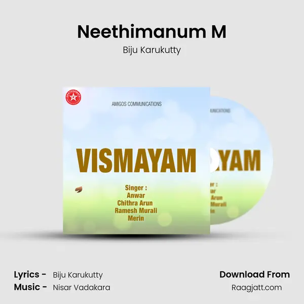 Neethimanum M - Biju Karukutty album cover 