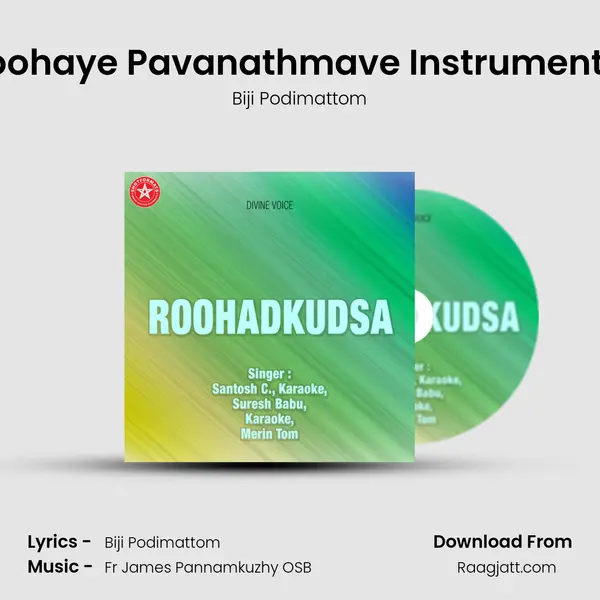 Roohaye Pavanathmave Instrumental mp3 song