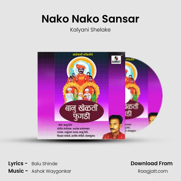 Nako Nako Sansar - Kalyani Shelake album cover 