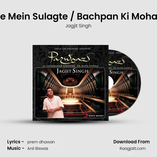 Seene Mein Sulagte / Bachpan Ki Mohabaat - Jagjit Singh album cover 