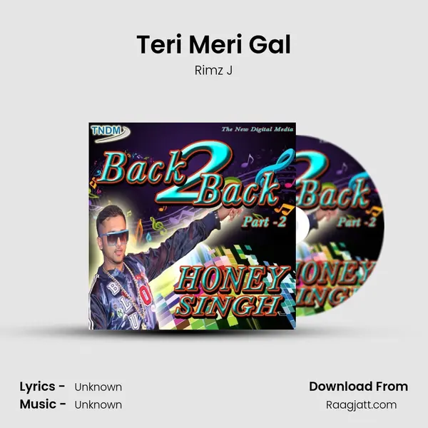 Teri Meri Gal - Rimz J album cover 