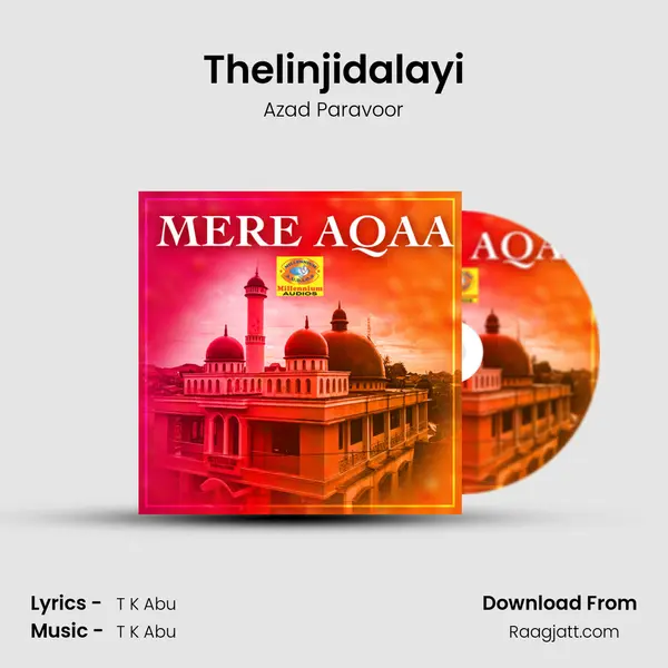 Thelinjidalayi mp3 song