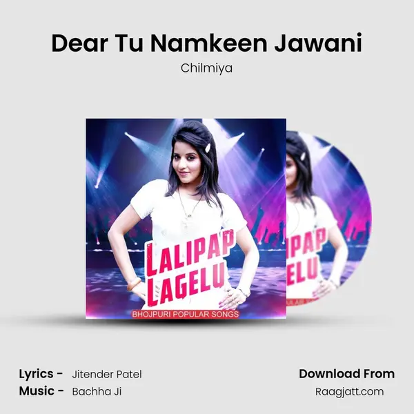 Dear Tu Namkeen Jawani - Chilmiya album cover 