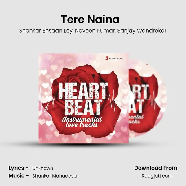 Tere Naina (From My Name Is Khan) (Instrumental) mp3 song