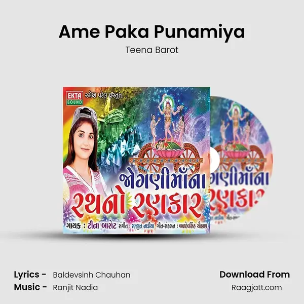 Ame Paka Punamiya - Teena Barot album cover 