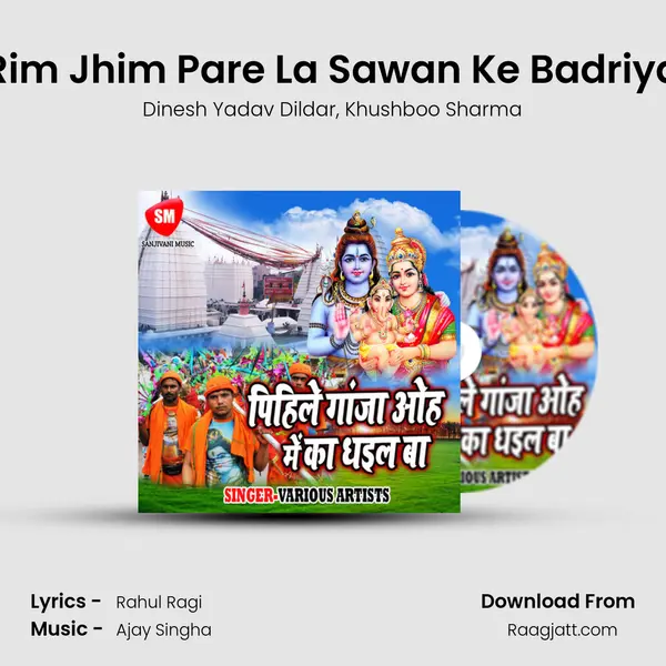 Rim Jhim Pare La Sawan Ke Badriya - Dinesh Yadav Dildar album cover 