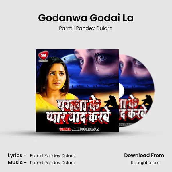 Godanwa Godai La - Parmil Pandey Dulara album cover 