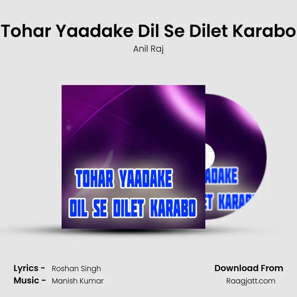 Tohar Yaadake Dil Se Dilet Karabo - Anil Raj album cover 