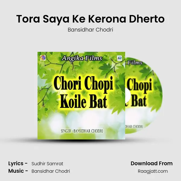 Tora Saya Ke Kerona Dherto mp3 song