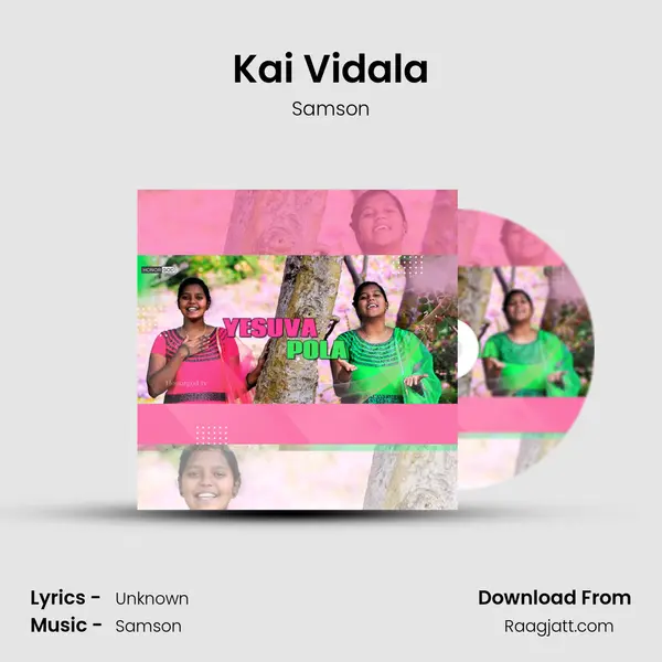 Kai Vidala - Samson album cover 