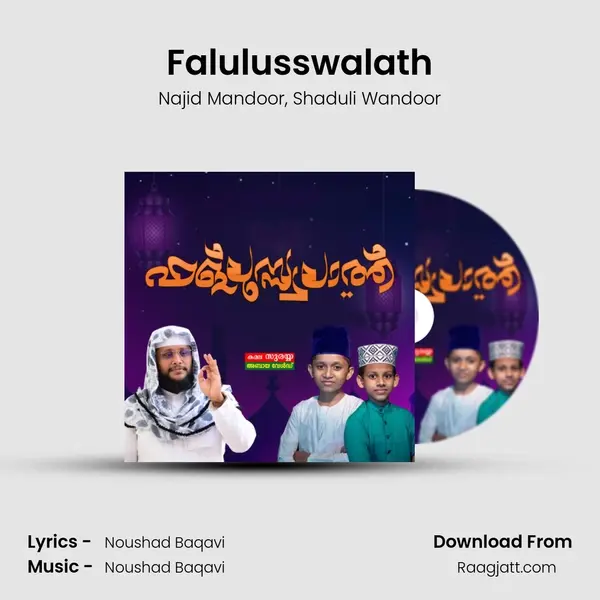 Falulusswalath - Najid Mandoor album cover 