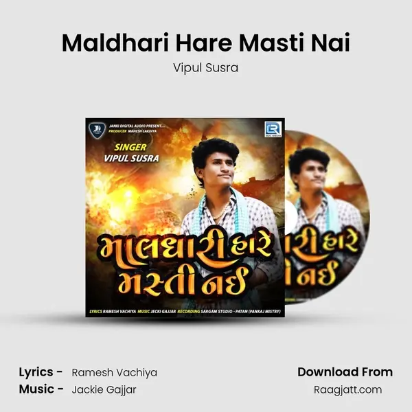 Maldhari Hare Masti Nai - Vipul Susra album cover 