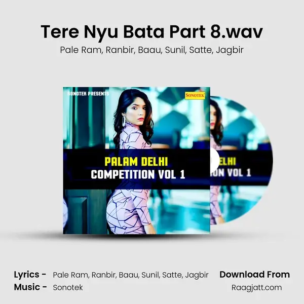 Tere Nyu Bata Part 8.wav - Pale Ram album cover 