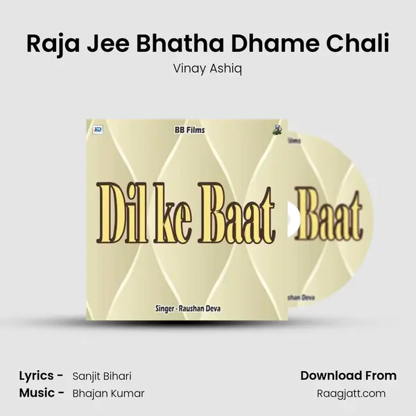 Raja Jee Bhatha Dhame Chali - Vinay Ashiq album cover 