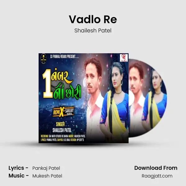 Vadlo Re - Shailesh Patel album cover 