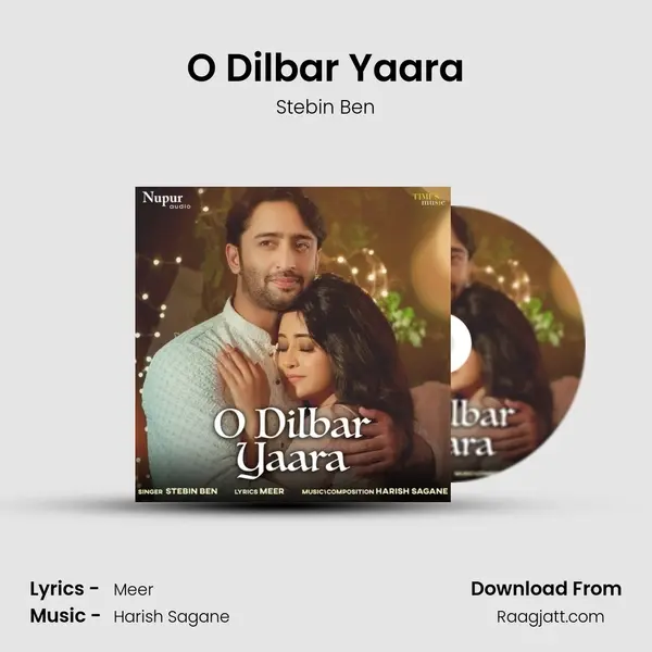 O Dilbar Yaara mp3 song