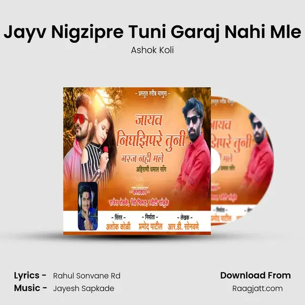 Jayv Nigzipre Tuni Garaj Nahi Mle - Ashok Koli album cover 