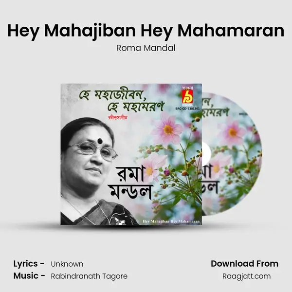 Hey Mahajiban Hey Mahamaran - Roma Mandal album cover 