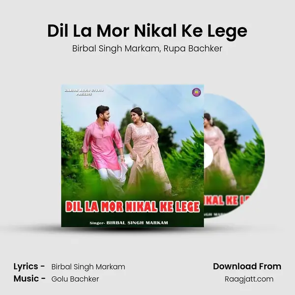 Dil La Mor Nikal Ke Lege - Birbal Singh Markam album cover 