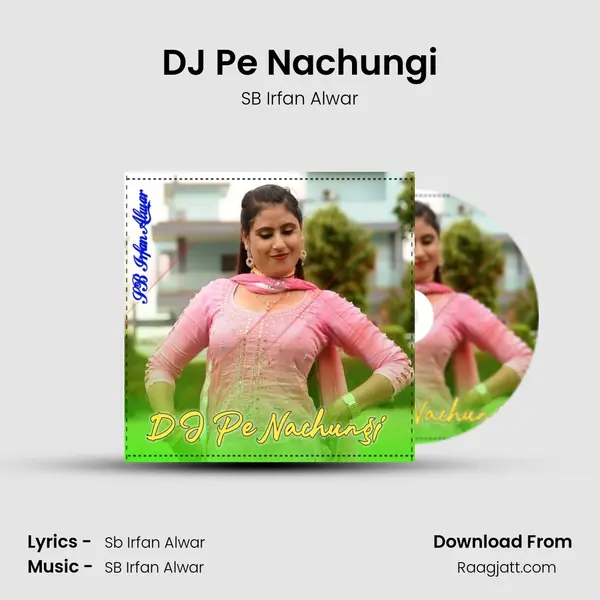 DJ Pe Nachungi - SB Irfan Alwar album cover 