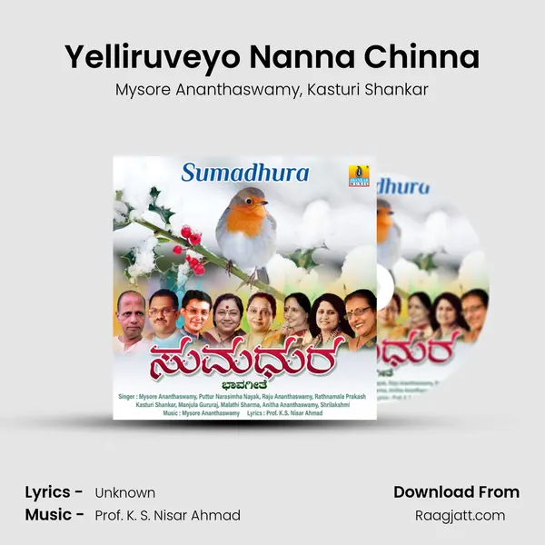 Yelliruveyo Nanna Chinna mp3 song