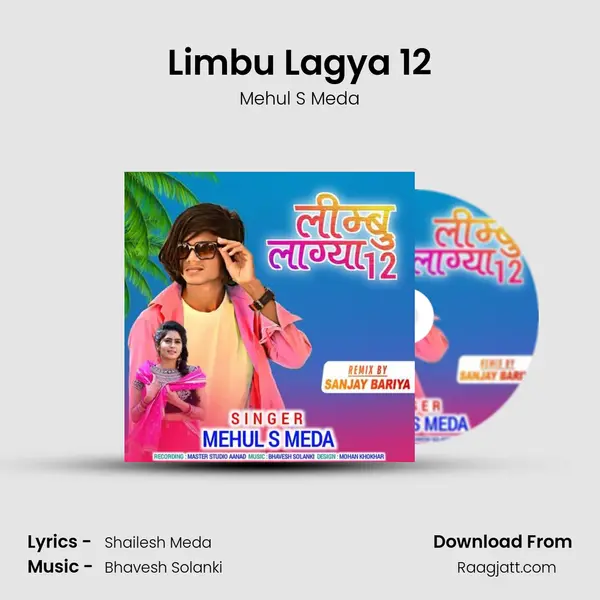 Limbu Lagya 12 - Mehul S Meda album cover 