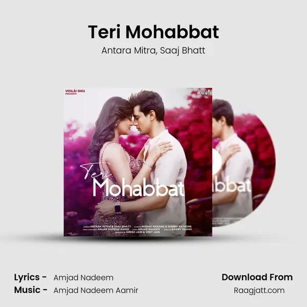 Teri Mohabbat - Antara Mitra album cover 