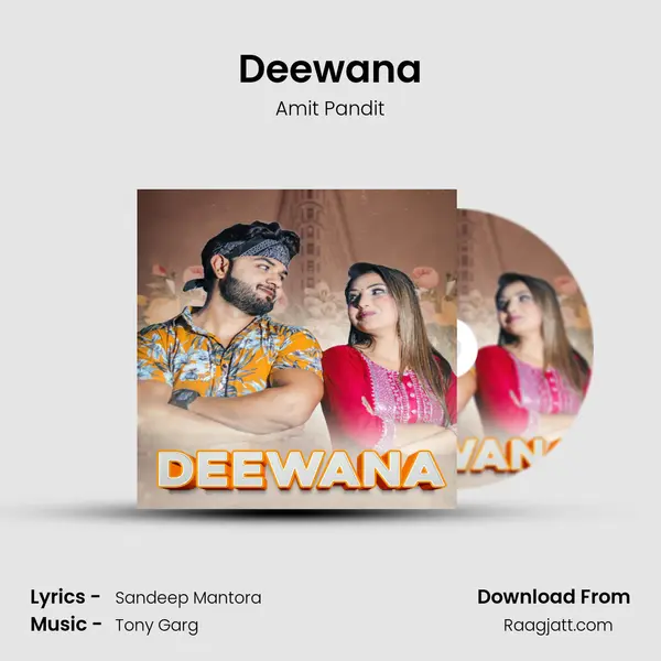 Deewana - Amit Pandit album cover 