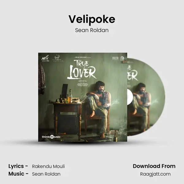 Velipoke - Sean Roldan album cover 