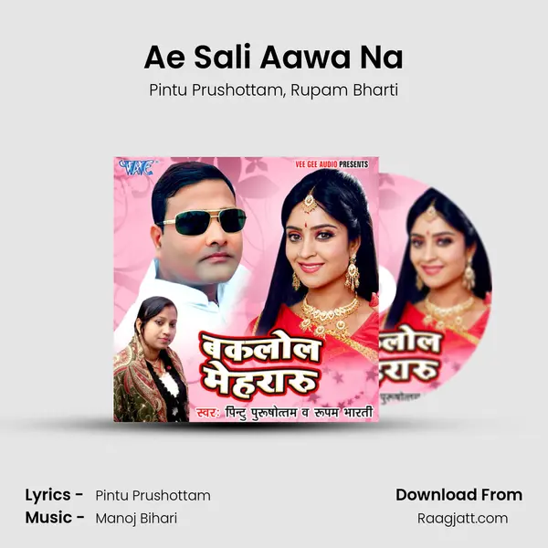 Ae Sali Aawa Na - Pintu Prushottam album cover 