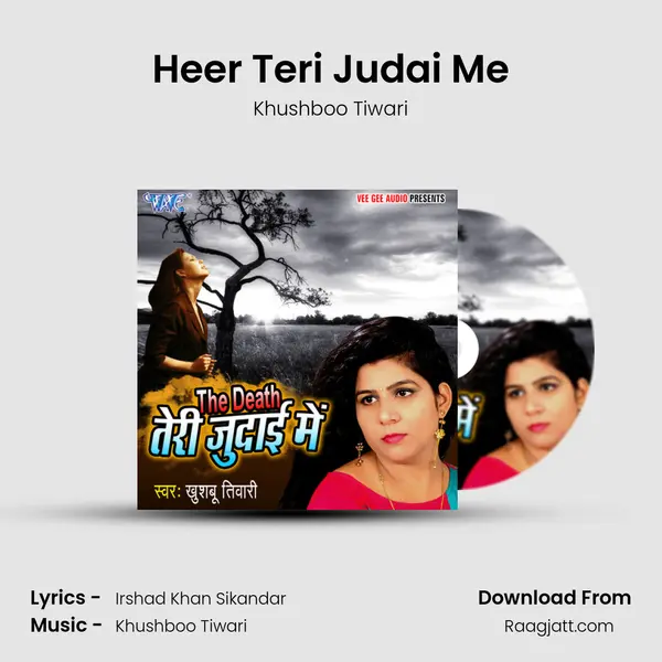 Heer Teri Judai Me mp3 song