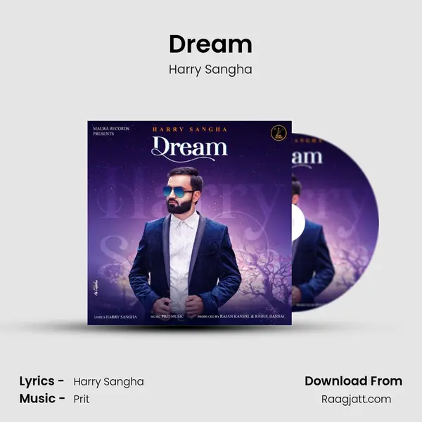 Dream - Harry Sangha album cover 