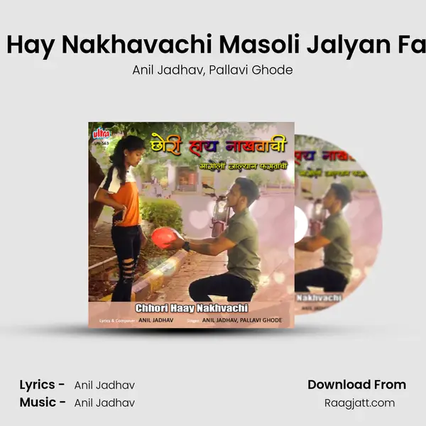 Chhori Hay Nakhavachi Masoli Jalyan Fasvachi - Anil Jadhav album cover 