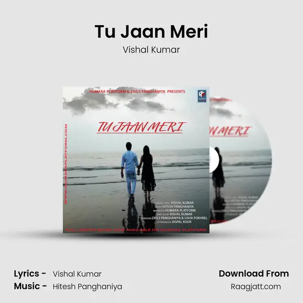 Tu Jaan Meri mp3 song