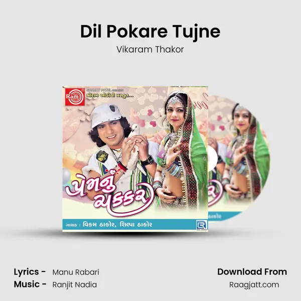 Dil Pokare Tujne mp3 song