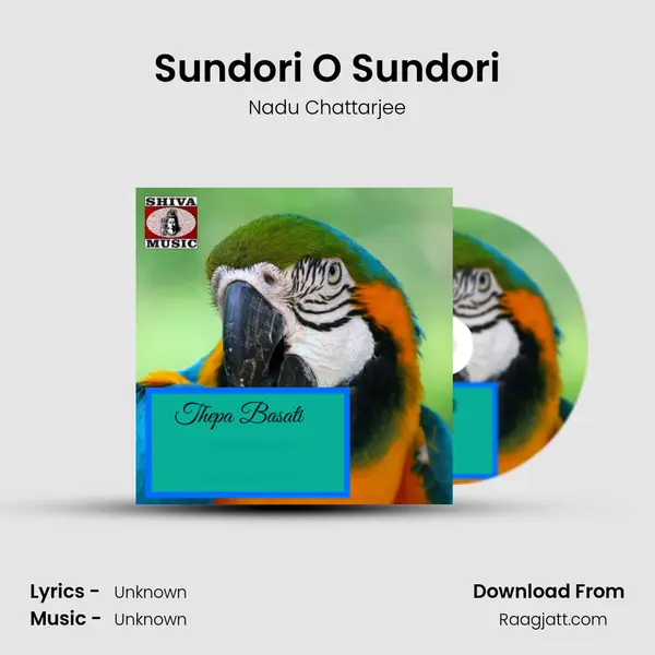 Sundori O Sundori - Nadu Chattarjee album cover 