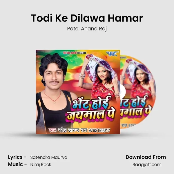 Todi Ke Dilawa Hamar - Patel Anand Raj album cover 