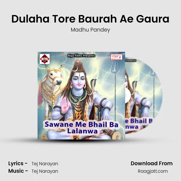 Dulaha Tore Baurah Ae Gaura mp3 song