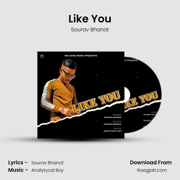 Like You mp3 song