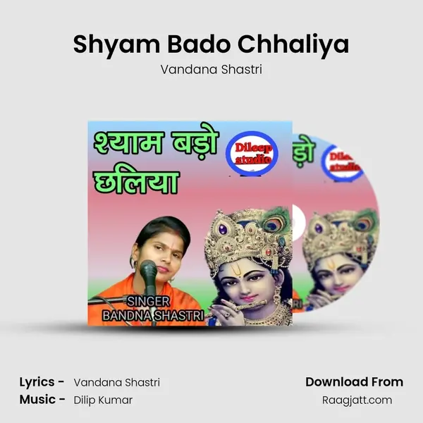 Shyam Bado Chhaliya - Vandana Shastri album cover 