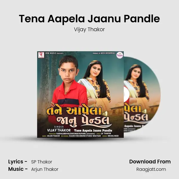 Tena Aapela Jaanu Pandle - Vijay Thakor album cover 