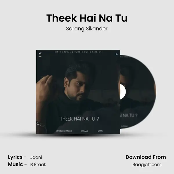 Theek Hai Na Tu - Sarang Sikander album cover 