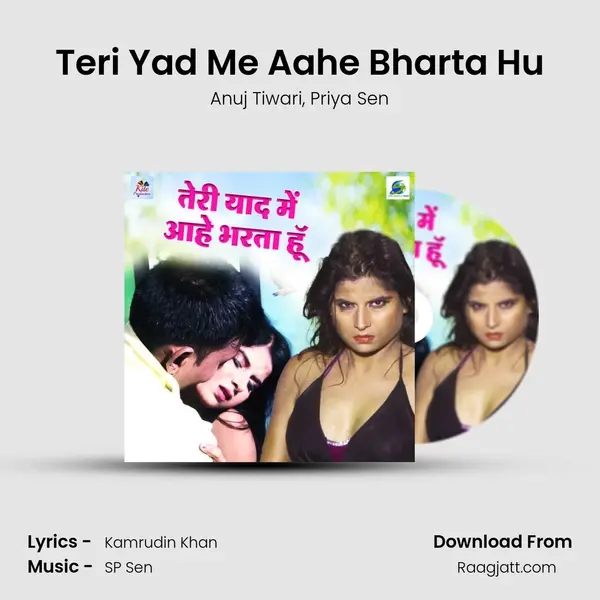 Teri Yad Me Aahe Bharta Hu mp3 song