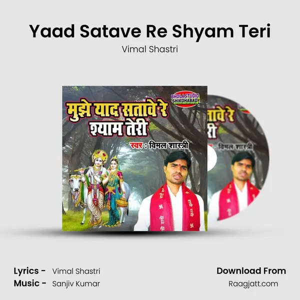 Yaad Satave Re Shyam Teri - Vimal Shastri album cover 