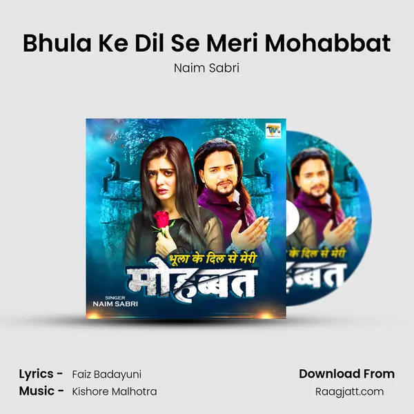 Bhula Ke Dil Se Meri Mohabbat - Naim Sabri album cover 