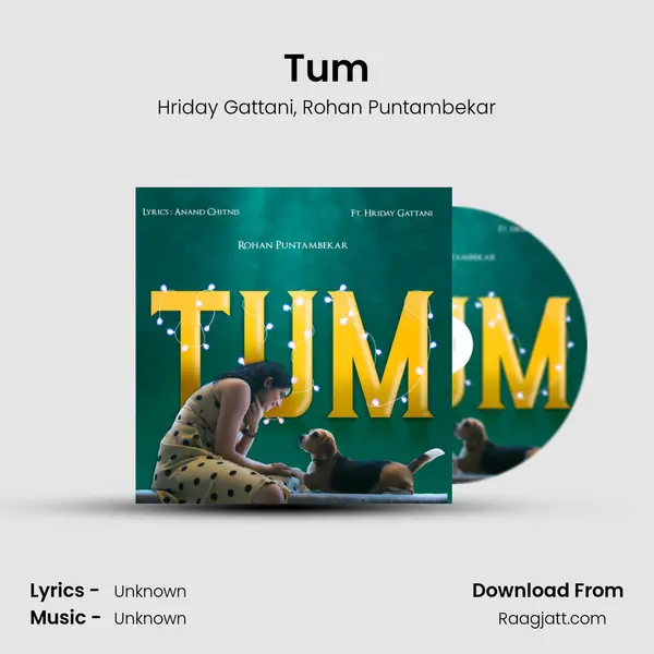 Tum - Hriday Gattani album cover 