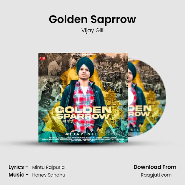 Golden Saprrow - Vijay Gill album cover 