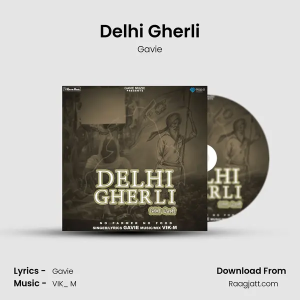 Delhi Gherli - Gavie album cover 